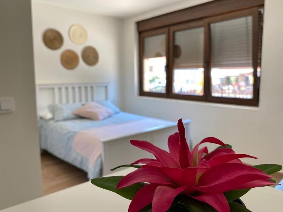 Apartament La Casa Del Arbol Corcubión Zewnętrze zdjęcie